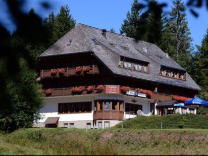 Foto: Zur Birke